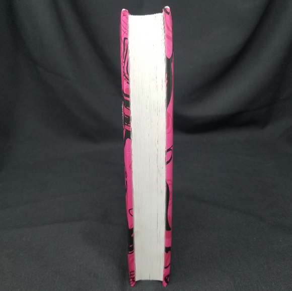 TEEN NIV THINLINE HOLY BIBLE - PINK WITH HEARTS - Picture 4 of 11